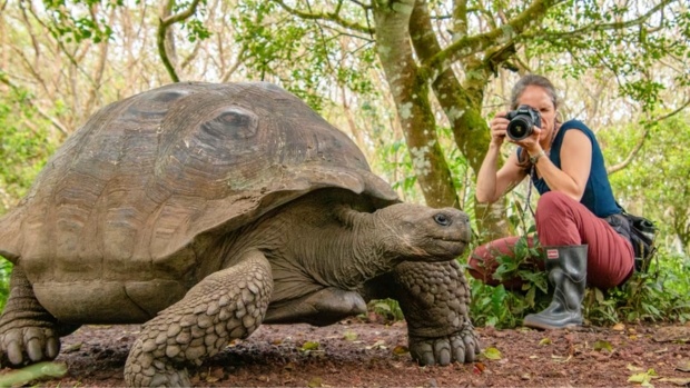 Exploring Galápagos