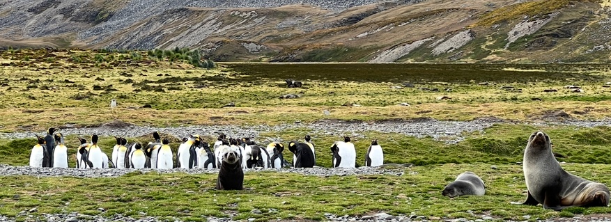 The Great Depths of Antarctica and its Surrounds