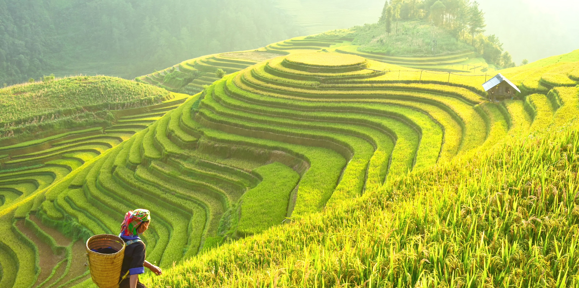 Indochina Mekong Journey Cruise & Tour