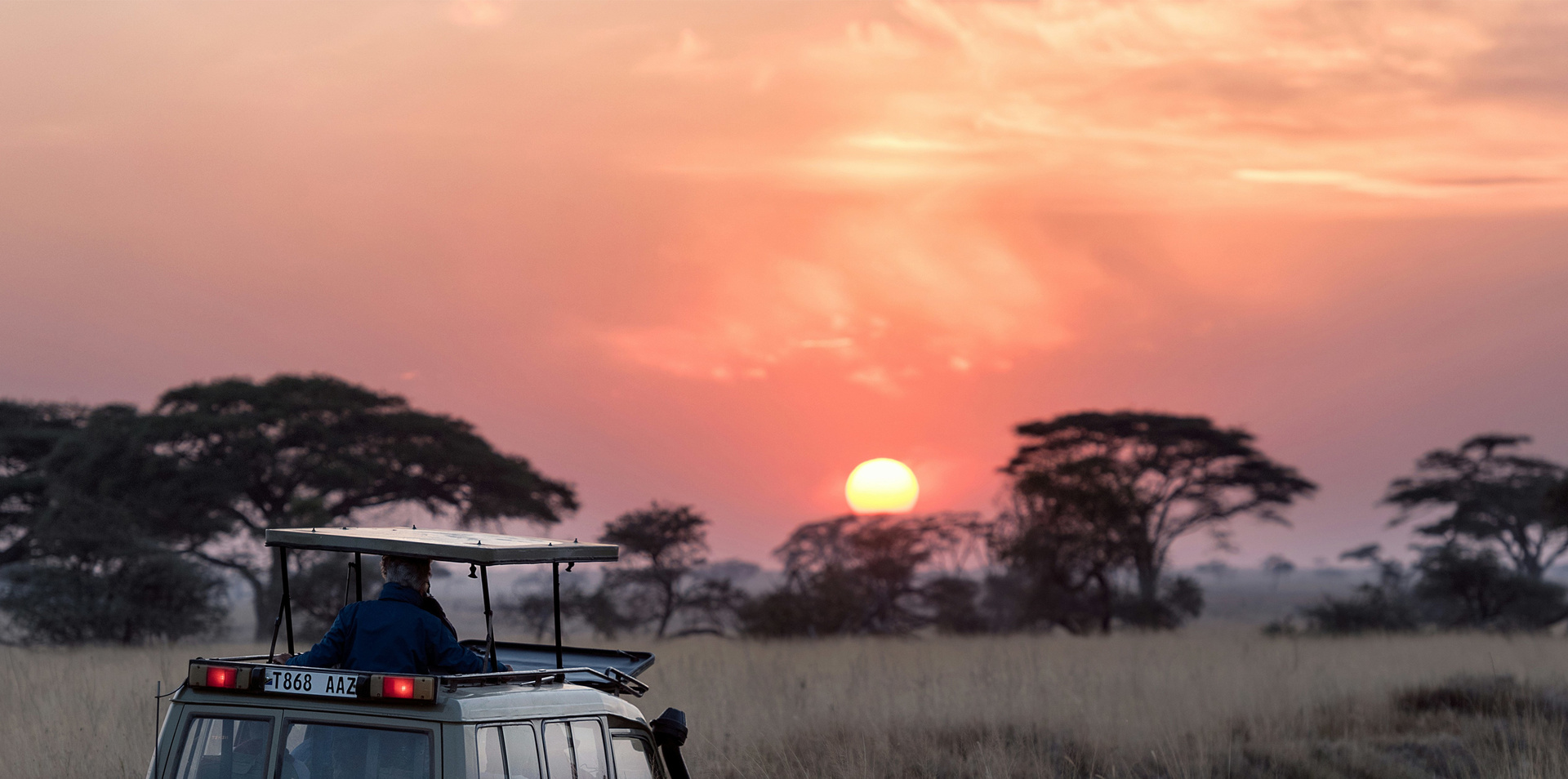 African Safari: Kenya and Tanzania